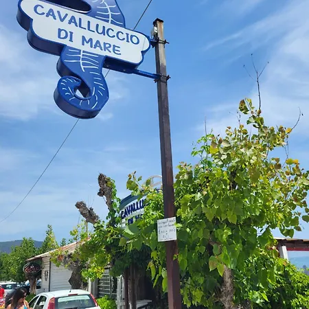 Civico11 Apartman Ancona